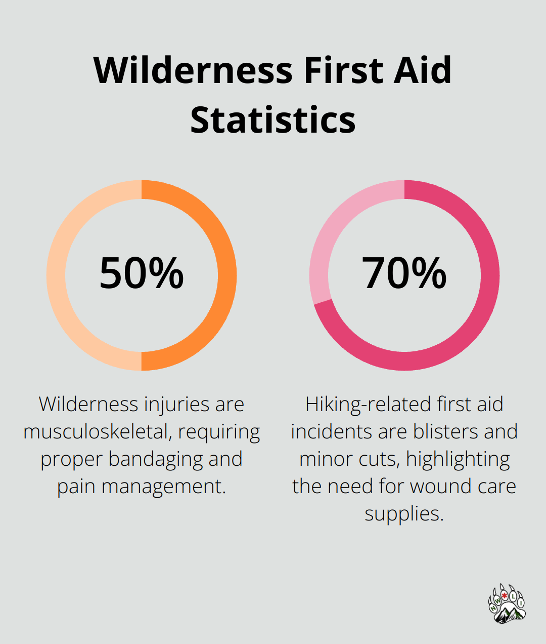 Chart showing 50% of wilderness injuries are musculoskeletal and 70% of hiking-related first aid incidents are blisters and minor cuts - wilderness first aid supplies